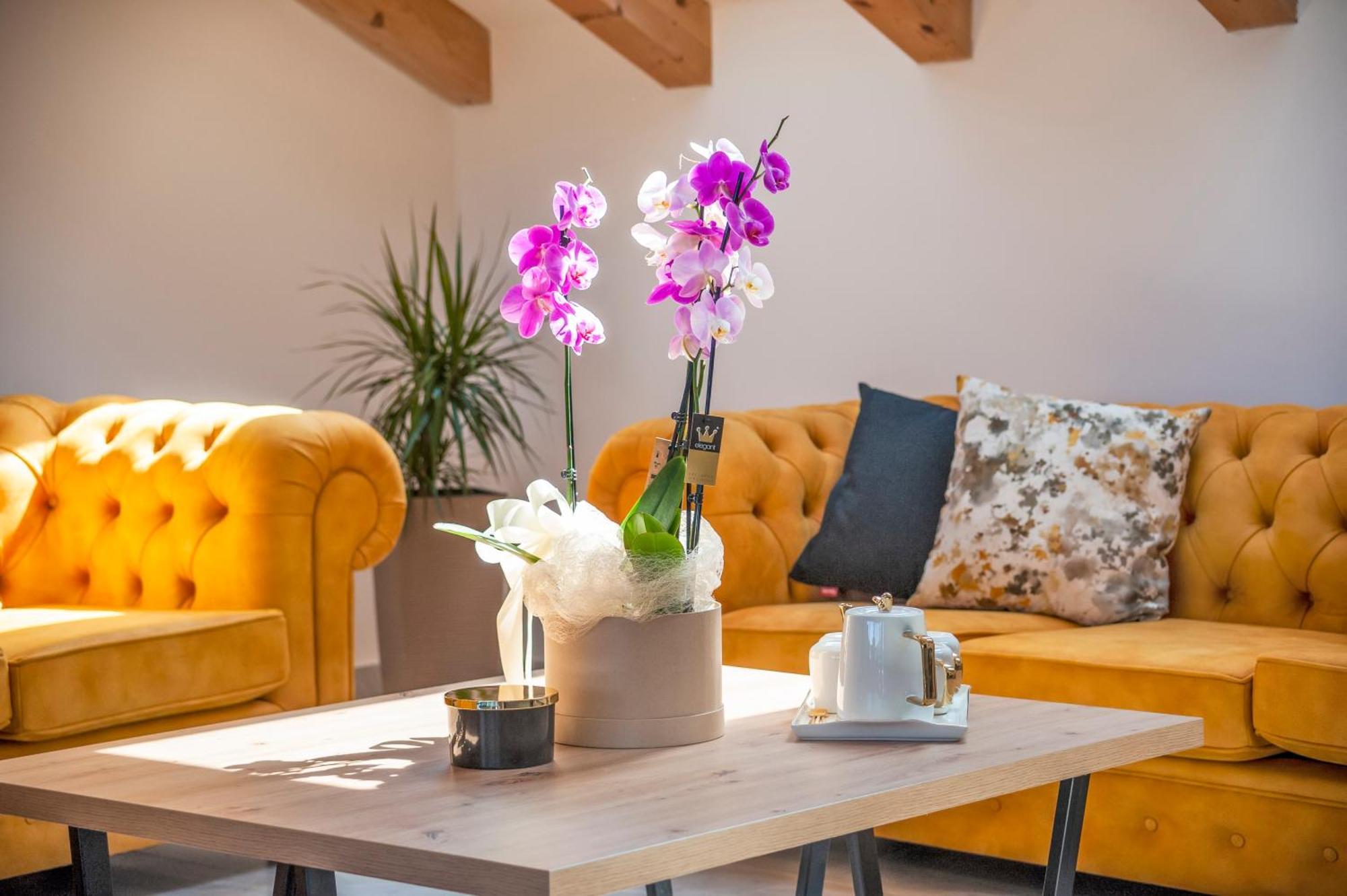 Boutique Residence Arion ロヴィニ 部屋 写真
